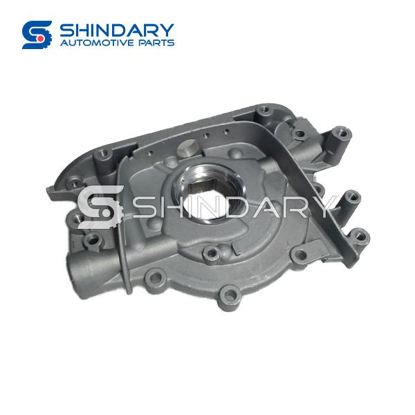 Oil Pump 1011010-02 for CHANA