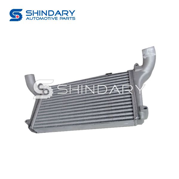 Radiator N600120106 for MAXUS C100 SENCILLO