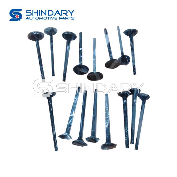 Exhaust Valve 1007012-H01 for CHANGAN CS15