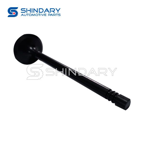 Exhaust Valve 12615936 for CHEVROLET CAPTIVA