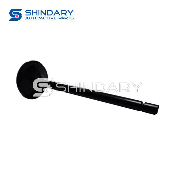 Exhaust Valve 12621548 for CHEVROLET CAPTIVA