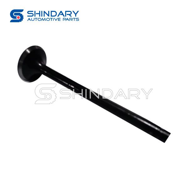 Exhaust Valve 13202-58000 for NISSAN