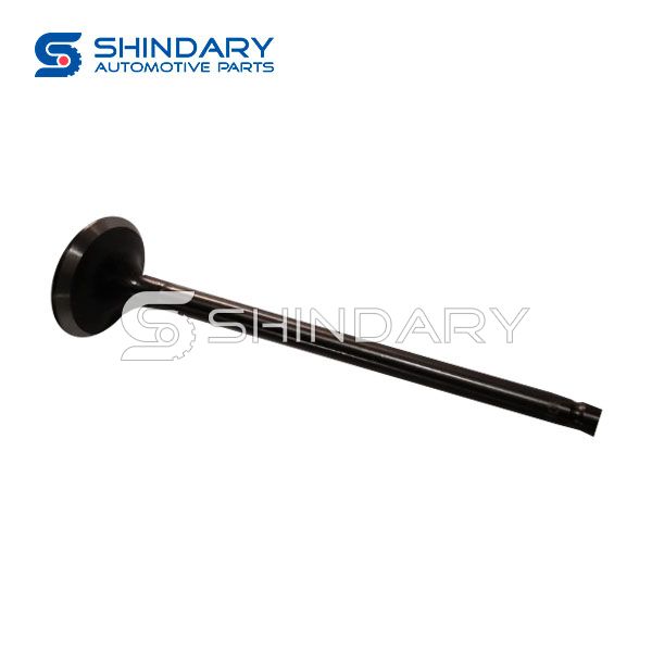 Exhaust Valve 132024BB1A for NISSAN QASHQAI