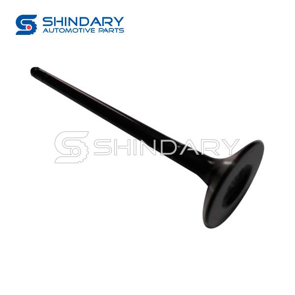 Exhaust Valve 132025X00B for NISSAN D33