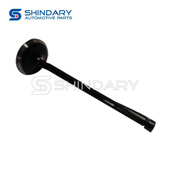 Exhaust Valve 1371575050 for TOYOTA