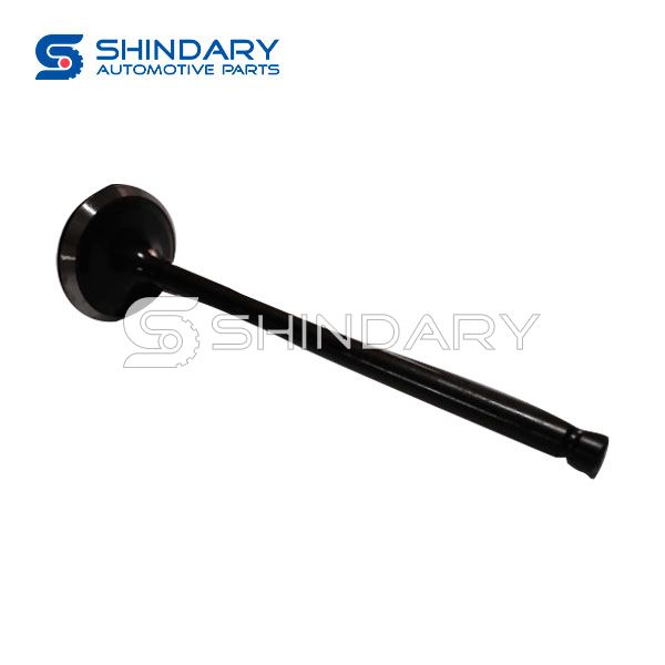 Exhaust Valve 1371576030 for TOYOTA