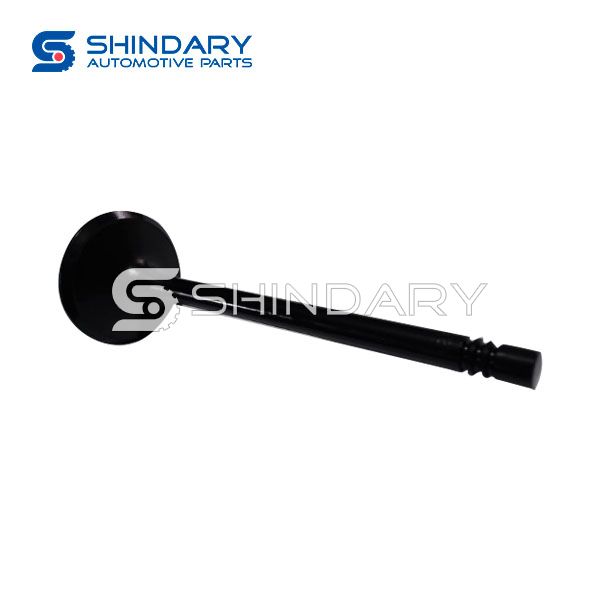 Intake Valve 55563529 for CHEVROLET CAPTIVA