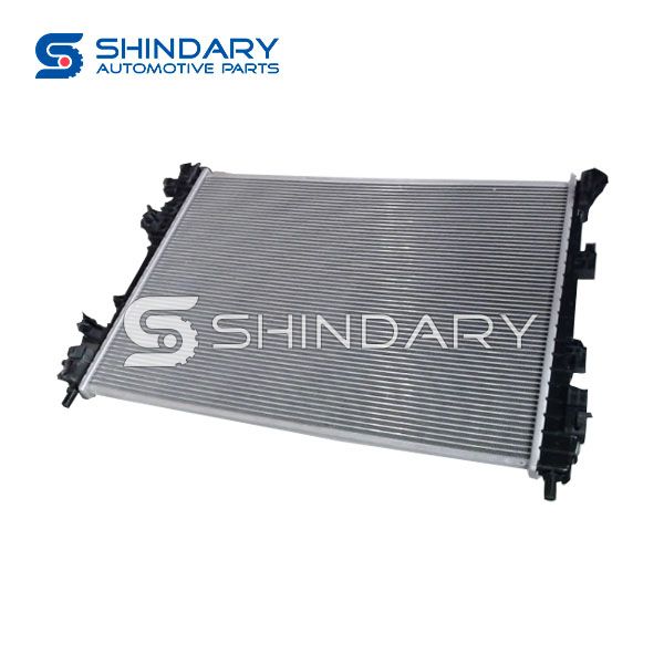 Radiator Assembly 5A-1301010E for BYD E2