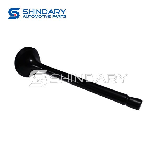 Exhaust Valve 8973096771 for CHEVROLET NKR