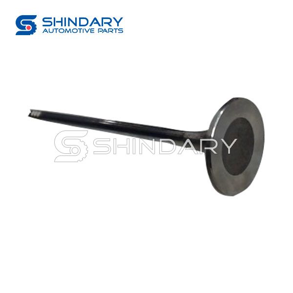 Exhaust Valve B016371 for DONGFENG AX7