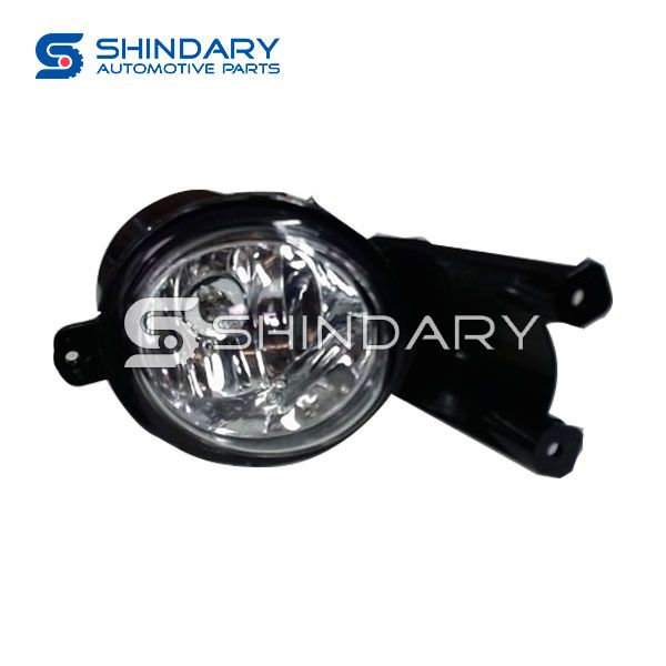 Front Fog Lamp R C00036428 for MAXUS