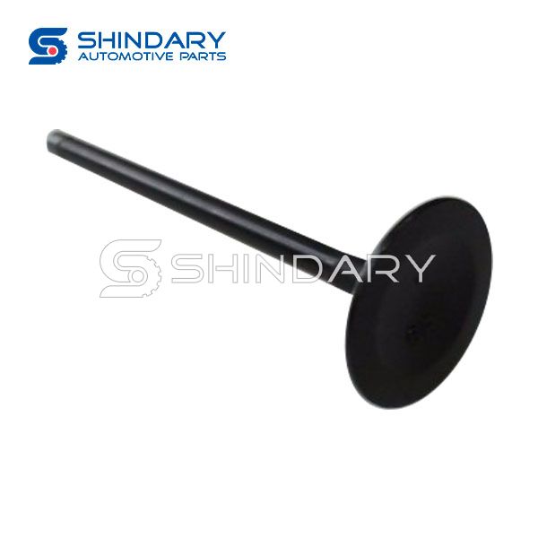 Intake Valve SMR994497 for GREAT WALL H3