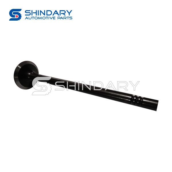 Intake Valve U202-12-111A for MAZDA NEW BT50