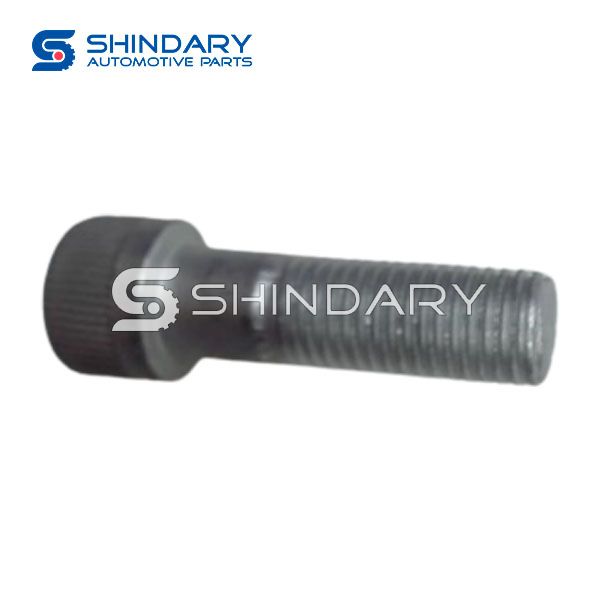 Screw 3001102-K01 for GREAT WALL