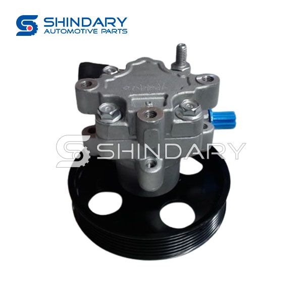 Steering Pump C00441339 for MAXUS