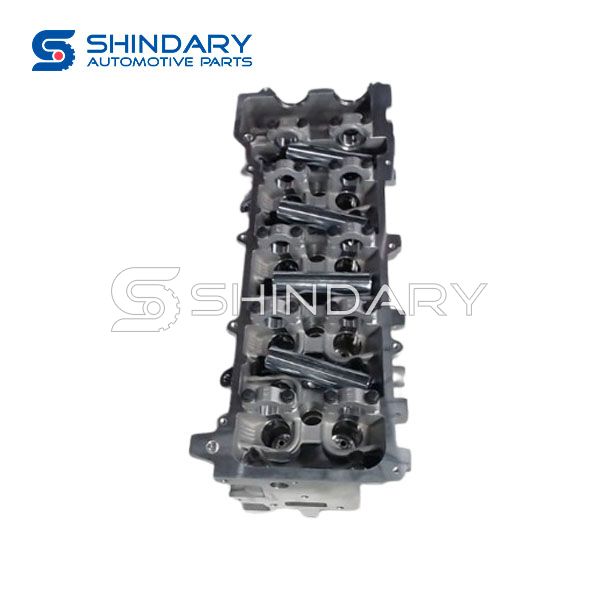 Cylinder Head RICH-ZG24-QGG-DGG for ZNA RICH