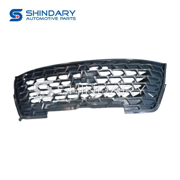 Grille 5509010-FQ15-F for DFSK