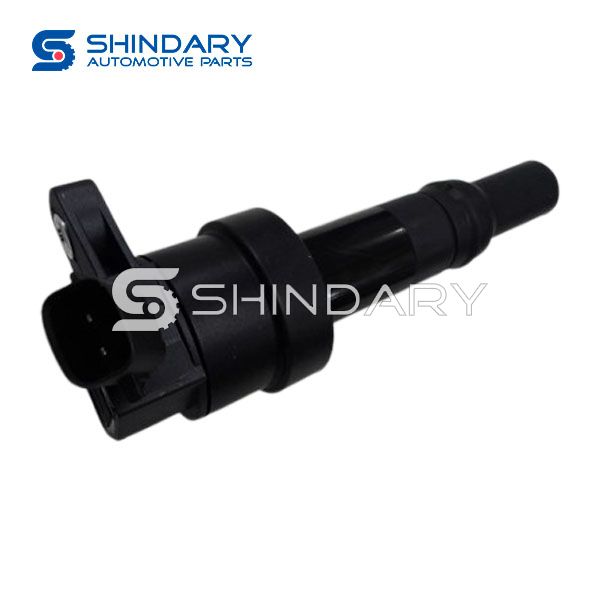 Ignition Coil 27301-04000 for HYUNDAI