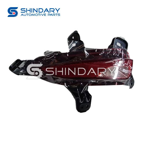 Left rear fog lamp A00113920 for BAIC