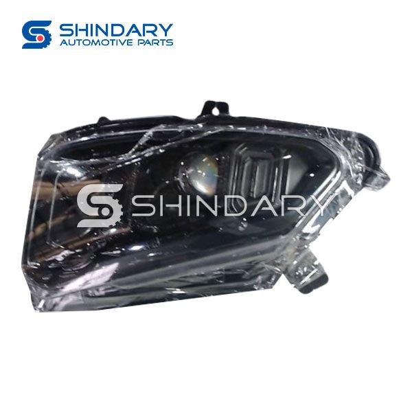 Left front combination lamp assy SX5G-4121210A for DONGFENG Friday
