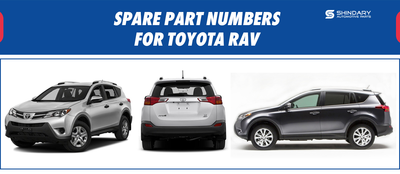 TOYOTA RAV.jpg