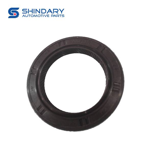 Crankshaft  Front Oil Seal Assy