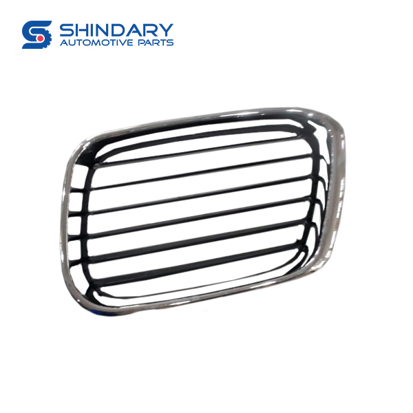 Front grille，L 5305057-01 for DFSK K01 