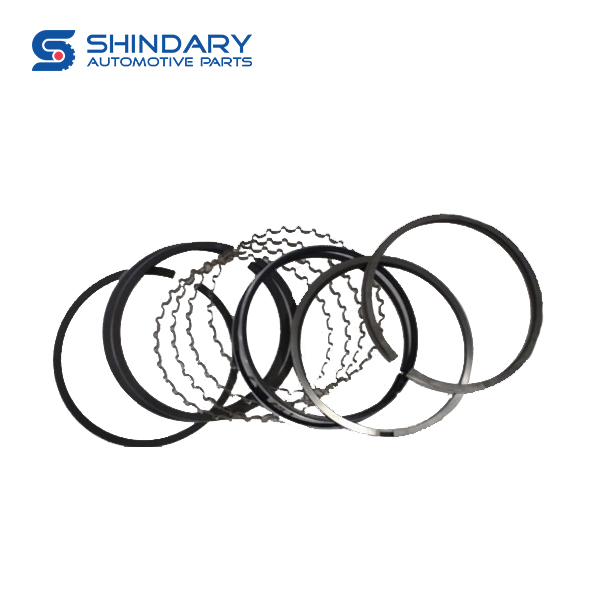 PISTON RINGS 491Q-1004011 for JINBEI SY6482N3 