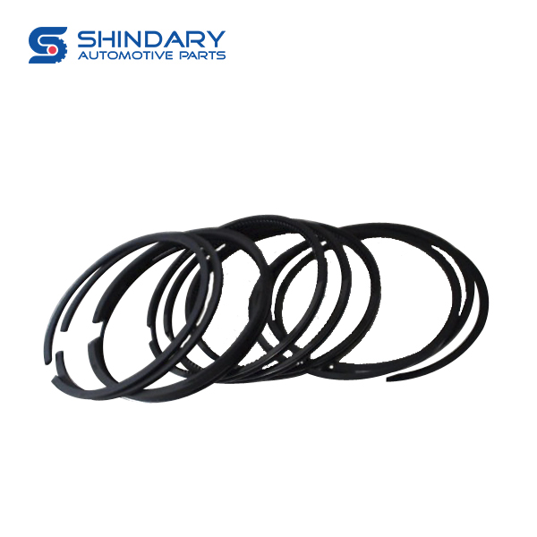 JINBEI SY6482Q3 PISTON  RINGS F6000-1004002