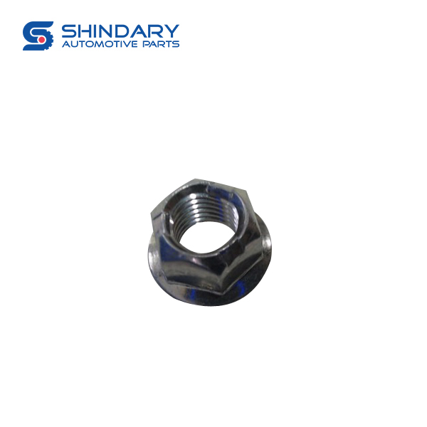 SELF LOCKING NUT X80 FQ999461000 for FAW X80 