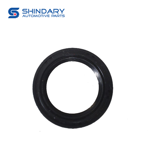 OIL SEAL, INPUT SHAFT 17010017-B01-000 for BAIC 206 