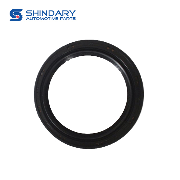 HALF-AXLE OIL SEAL ASSEMBLY 24010112-A02-000 for BAIC 206 