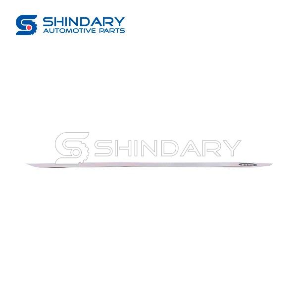 Stainless steel body trim SDR-CSLT-001 for Special models 