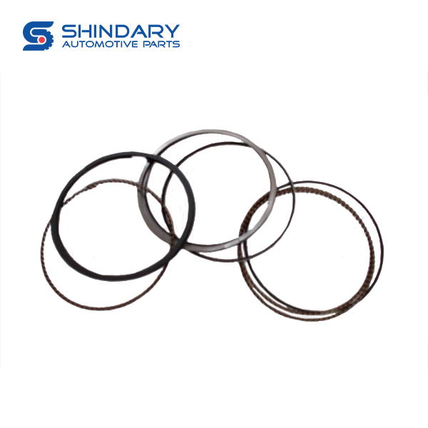 RING SET-PISTON STD 1004024gg020 for JAC J2 