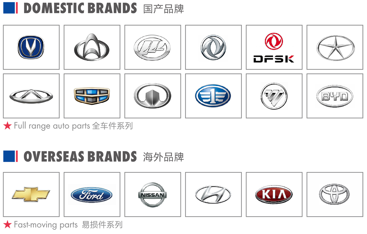 Company Profile