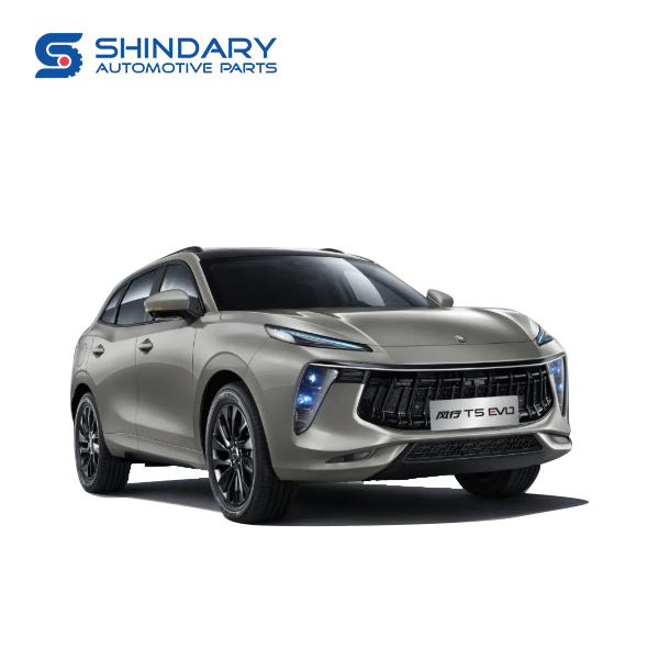 Automotive parts for DONGFENG T5 EVO